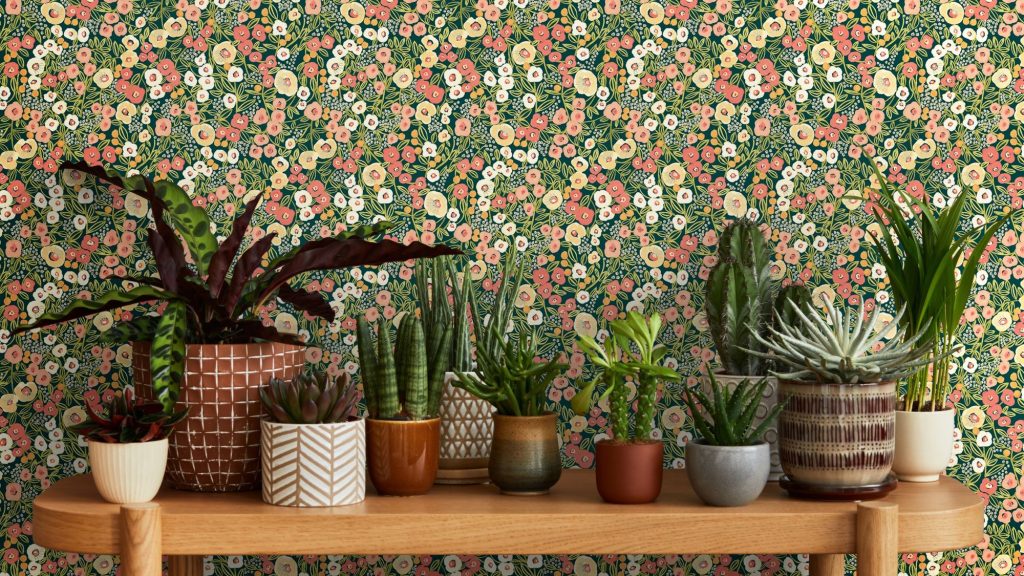 A variety of potted plants, including cacti, succulents, and leafy plants, are displayed on a wooden shelf. The plants are in various sizes and shapes, with different coloured pots. The background is a vibrant floral wallpaper with a dark green base and a pattern of pink, orange, and white flowers